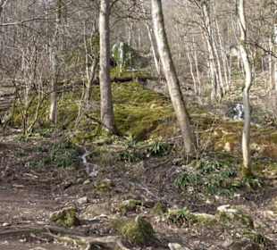 Wasserfallsteig