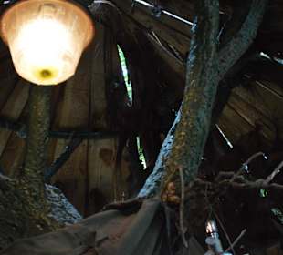 Jungle Cabana