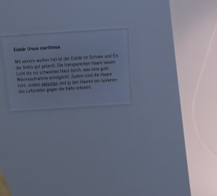 Staatliches Naturkunde Museum