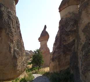 Skały z tufu wulkanicznego