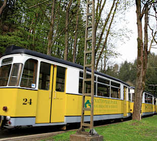 Die Kirnitzschtalbahn - direkt an der MiMü