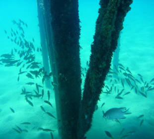 Beim Nachbarhotel am Steg
