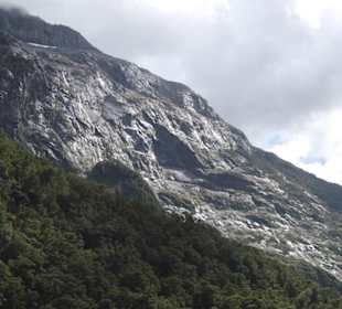 Природа Новой Зеландии.