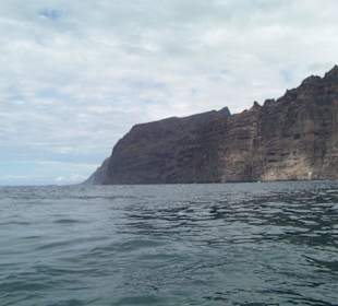 Los Gigantes