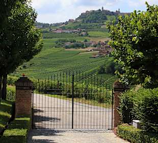 Weingut Cordero di Montezemolo