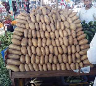 Stadtrundfahrt Markt