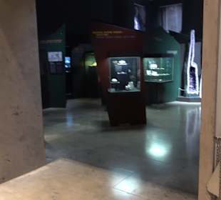 Staatliches Naturkunde Museum