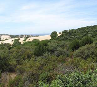 Sanddünen bei Costa Verde