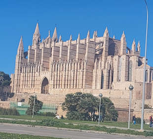 Kathedrale La Seu