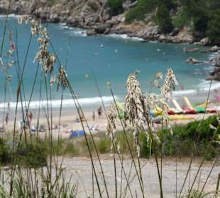 Strand von Arenal d´en Castell