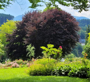 Schöne Bäume und Blumen