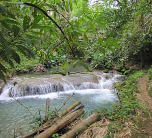 Flusswanderung Mayfield Falls