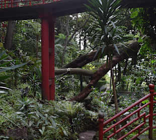 Asiatischer Bereich des Parks