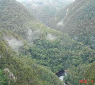 Tsitsikamma National Park