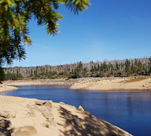 Oderteich