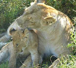 Halte still, wenn ich Dich schon wasche