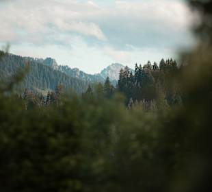 Wandern Oy-Mittelberg