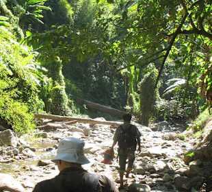 Flussdurchquerung über die Steine