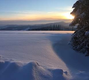 Abendstimmung auf dem Stübenwasen mit Blick auf den Belchen