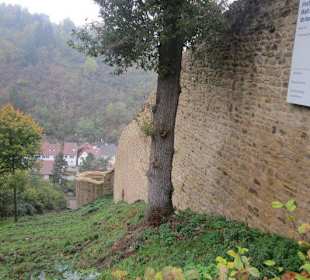 Ruine Wachtenburg