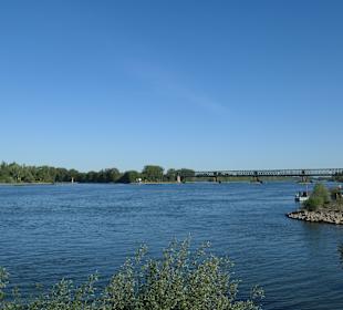 Bei einem Spaziergang in Mainz entlang des Rheins
