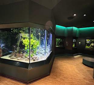 Aquazoo Löbbecke Museum Düsseldorf