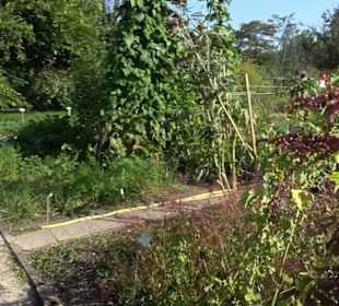 Botanischer Garten München