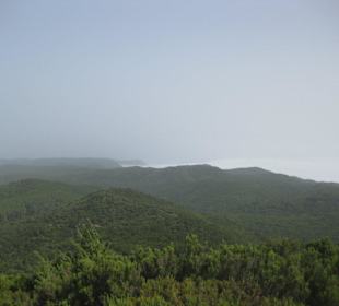 Ausblick vom Alto Garajonay