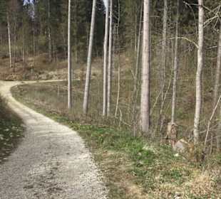 Wanderweg Hochgehswiggert