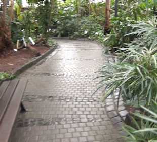 Tropicarium - Feuchte Tropen