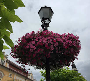 Blumenarrangement direkt vor dem Olenka