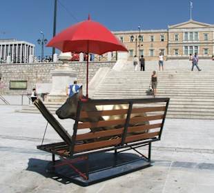 Una muccha davanti al parlamento