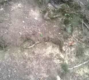 Einder Auf bzw Abstiege