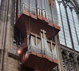 Orgel