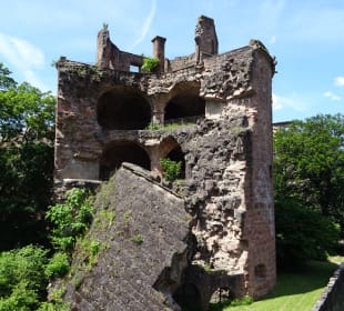 Schlossgarten Heidelberg