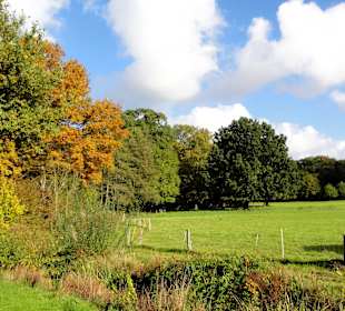 Herbstspaziergang durch den Bürgerpark Bremen