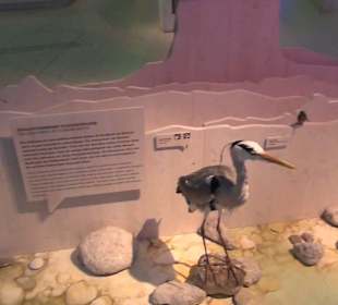 Nationalparkzentrum Haus der Berge