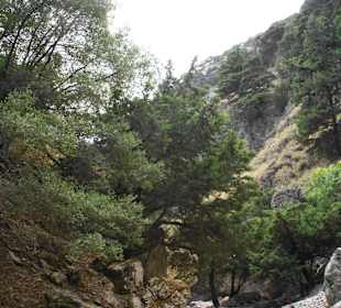 Impressionen Imbrosschlucht