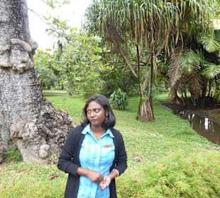 M Pamplemousses Garden mit Reiseleiterin