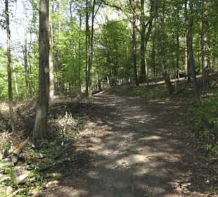 Wanderweg Hochgehwachsen