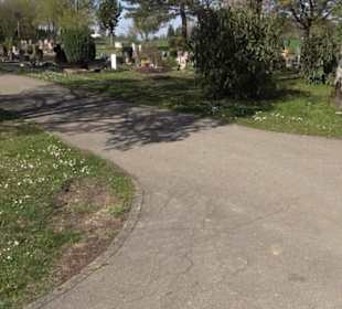 Neuer Friedhof