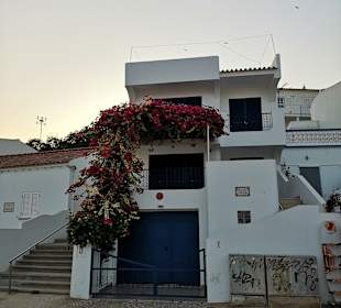 Wandern Olhos de Água