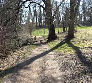 Amalienfelsen Inzigkofen