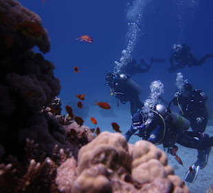 Tauchen Marsa Alam