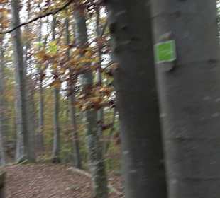Wandern Rauberweide