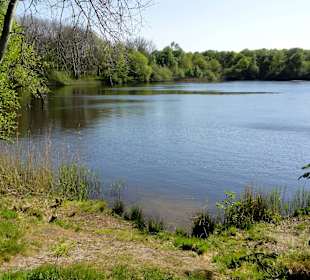 Impressionen vom Rundweg um den Oyter See