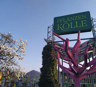 Pflanzen-Kölle Gartencenter