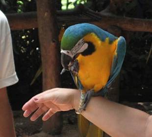 Exotische Fauna und Flora zum anfassen