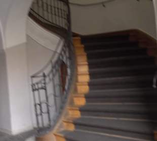 Thon-Dittmer-Palais