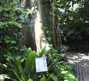 Botanischer Garten der Universität Zürich